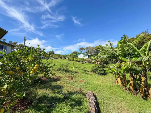 Listing Image for 2129 Akeu Way 19 of 22