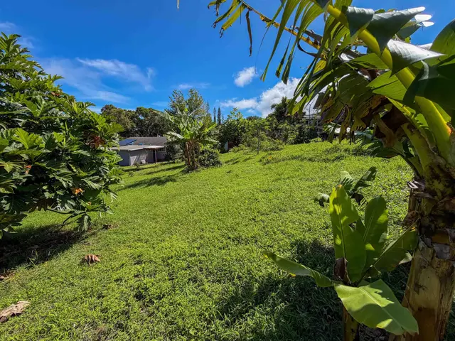 Listing Image for 2129 Akeu Way 9 of 22