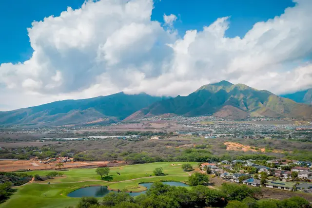 Listing Image for 15 Huluhulu Pl 38 of 38