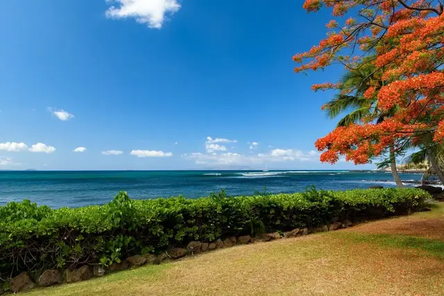Listing Image for 210 Hauoli St 15 of 41