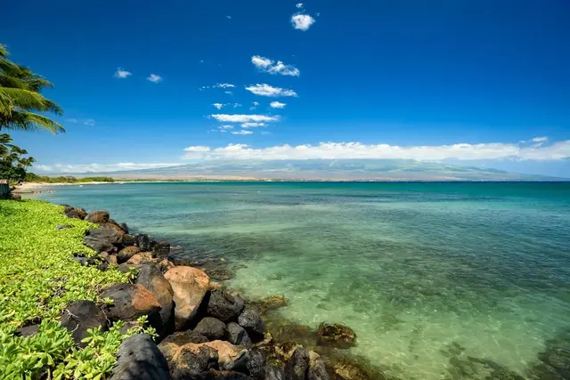 Listing Image for 210 Hauoli St 16 of 41