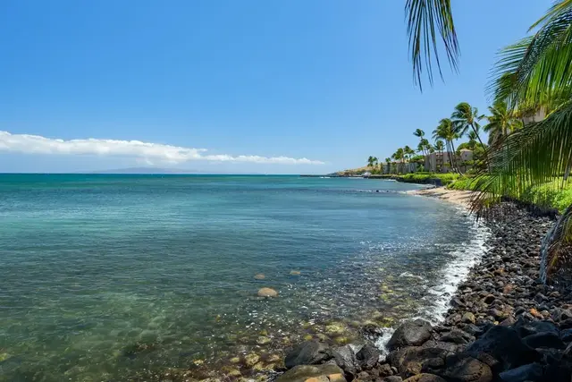 Listing Image for 210 Hauoli St 17 of 41