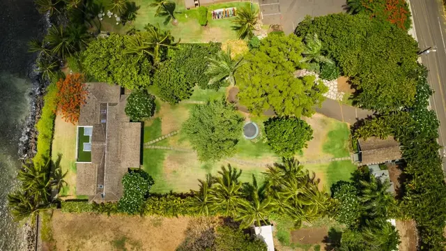 Listing Image for 210 Hauoli St 34 of 41