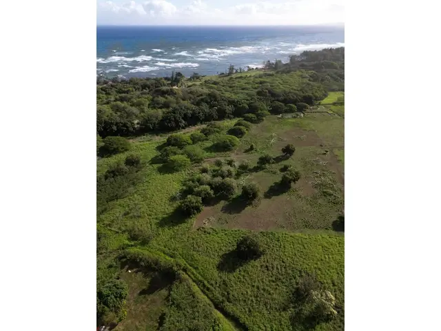 Listing Image for 2042 Kahekili Hwy A 26 of 28