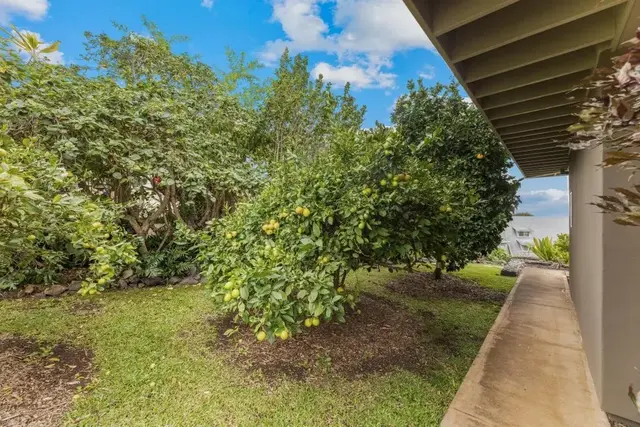 Listing Image for 25 Kau St 42 of 50