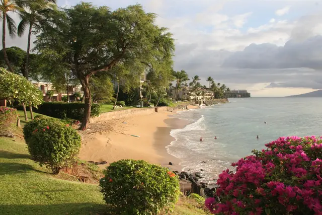 Listing Image for 3959 Lower Honoapiilani Rd 503 3 of 47