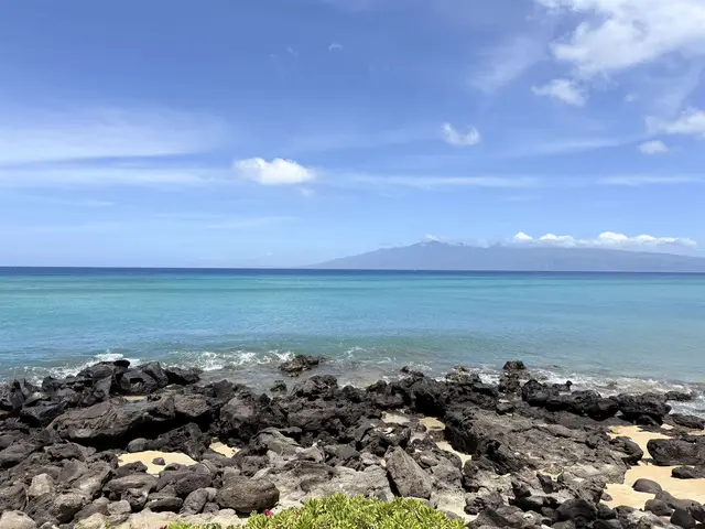 Listing Image for 3959 Lower Honoapiilani Rd 503 33 of 47