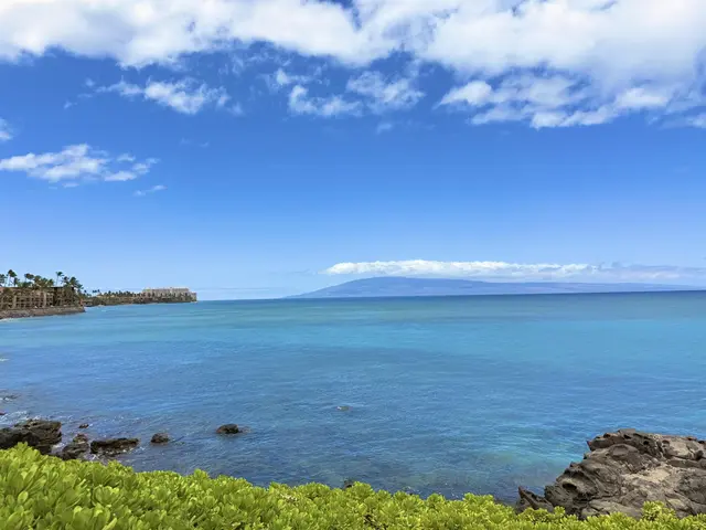 Listing Image for 3959 Lower Honoapiilani Rd 503 34 of 47