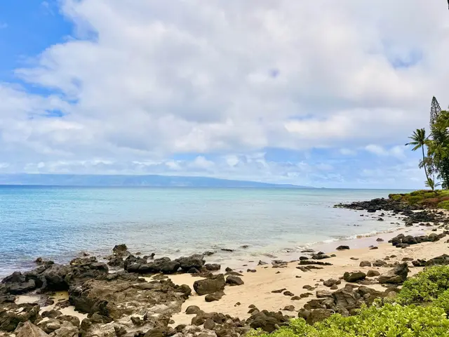 Listing Image for 3959 Lower Honoapiilani Rd 503 35 of 47