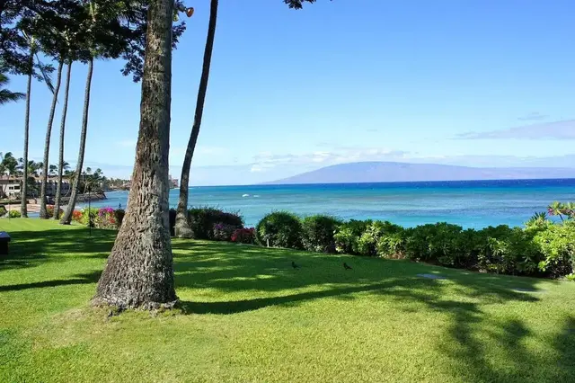 Listing Image for 3959 Lower Honoapiilani Rd 503 37 of 47