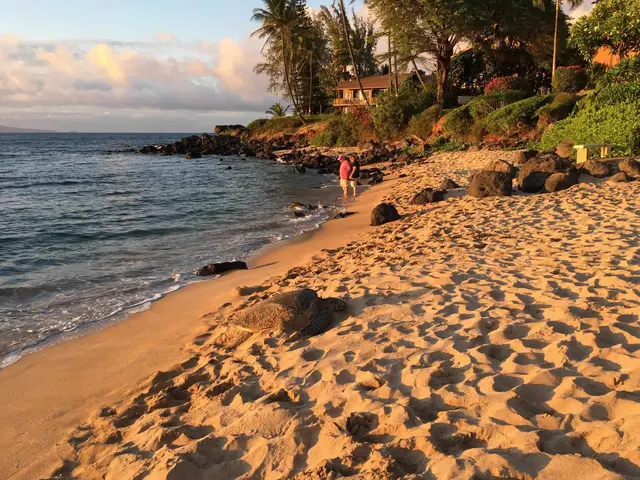 Listing Image for 3959 Lower Honoapiilani Rd 503 39 of 47