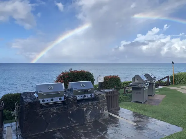 Listing Image for 3959 Lower Honoapiilani Rd 503 42 of 47