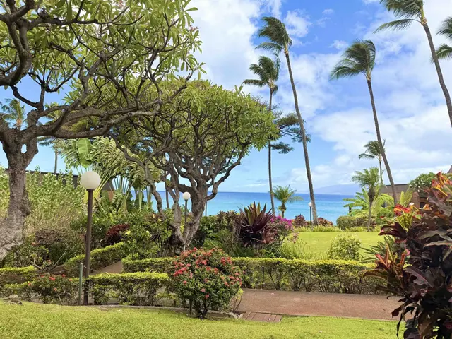 Listing Image for 3959 Lower Honoapiilani Rd 503 43 of 47