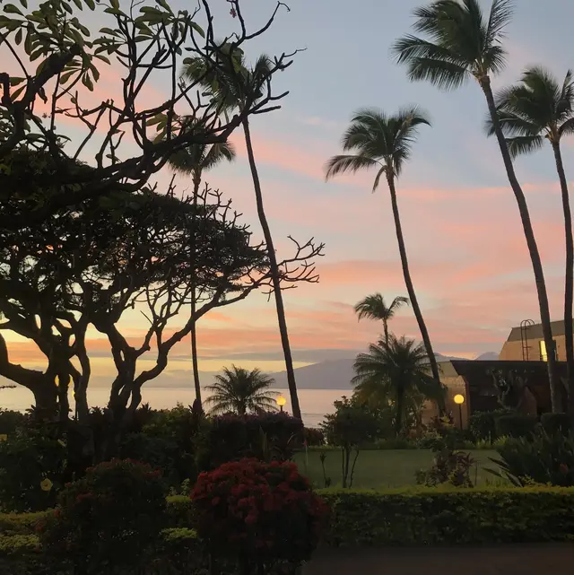 Listing Image for 3959 Lower Honoapiilani Rd 503 46 of 47