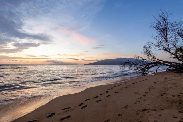 Listing Image for 50 Waiohuli St H 32 of 43