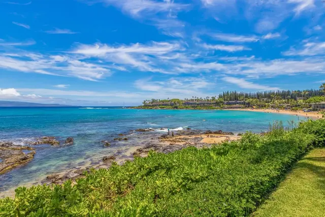 Listing Image for 5315 Lower Honoapiilani Rd A101 14 of 25