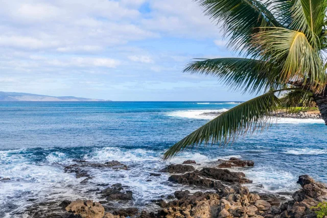 Listing Image for 43 Papaua Pl 9 of 50