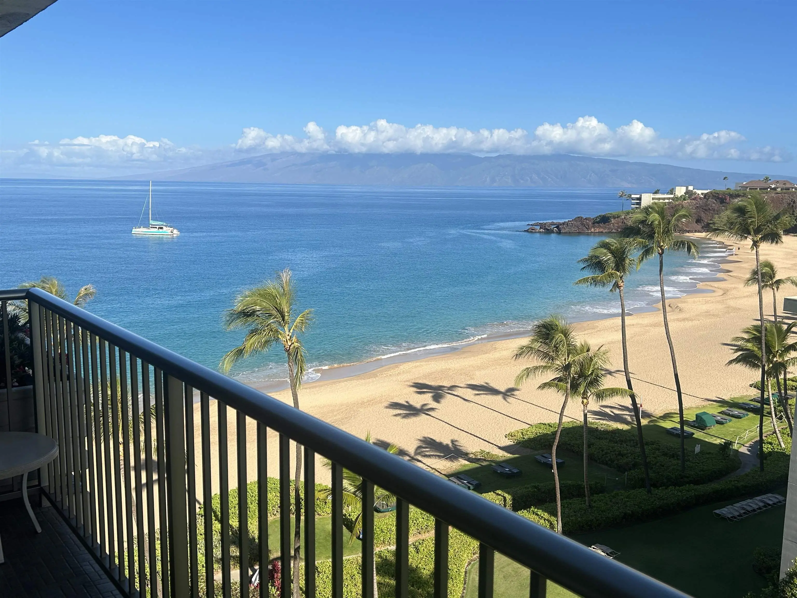 Photo of Listing #409163