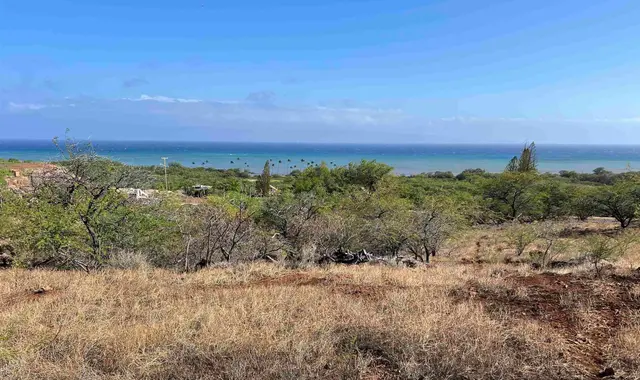 Listing Image for Onioni Dr 15 of 34