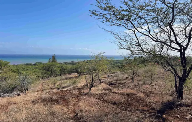 Listing Image for Onioni Dr 17 of 34