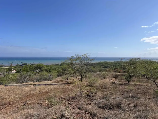 Listing Image for Onioni Dr 18 of 34