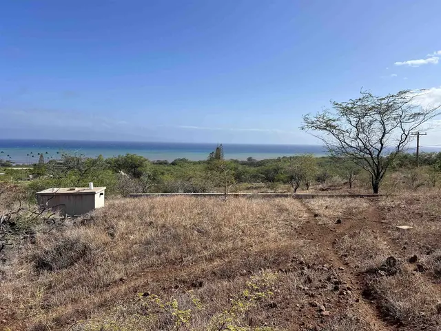 Listing Image for Onioni Dr 19 of 34