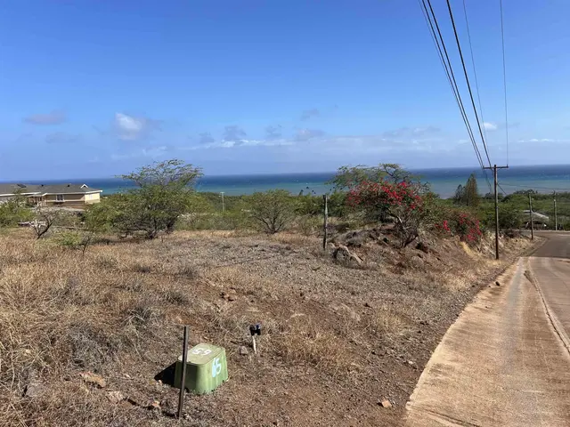 Listing Image for Onioni Dr 20 of 34