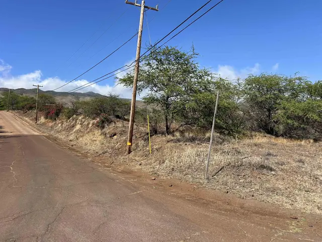 Listing Image for Onioni Dr 21 of 34