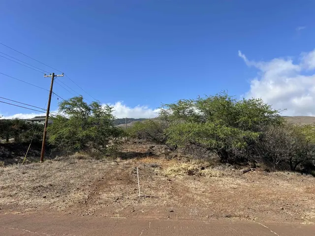 Listing Image for Onioni Dr 23 of 34