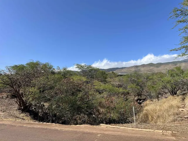 Listing Image for Onioni Dr 24 of 34
