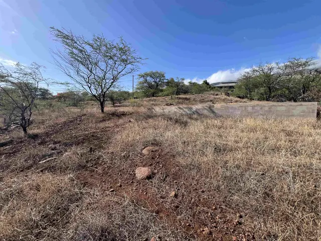 Listing Image for Onioni Dr 28 of 34