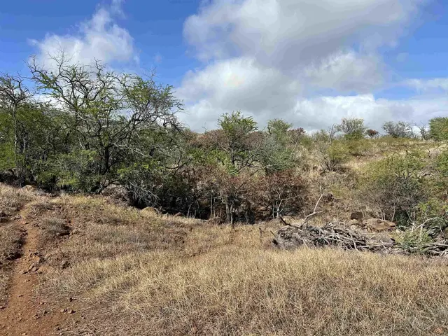 Listing Image for Onioni Dr 29 of 34