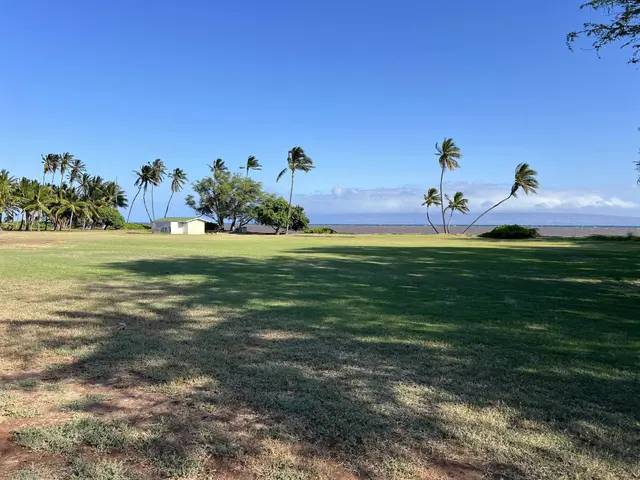 Listing Image for Onioni Dr 31 of 34