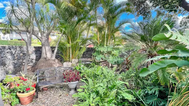 Listing Image for 340 Hokulani St 4 of 45
