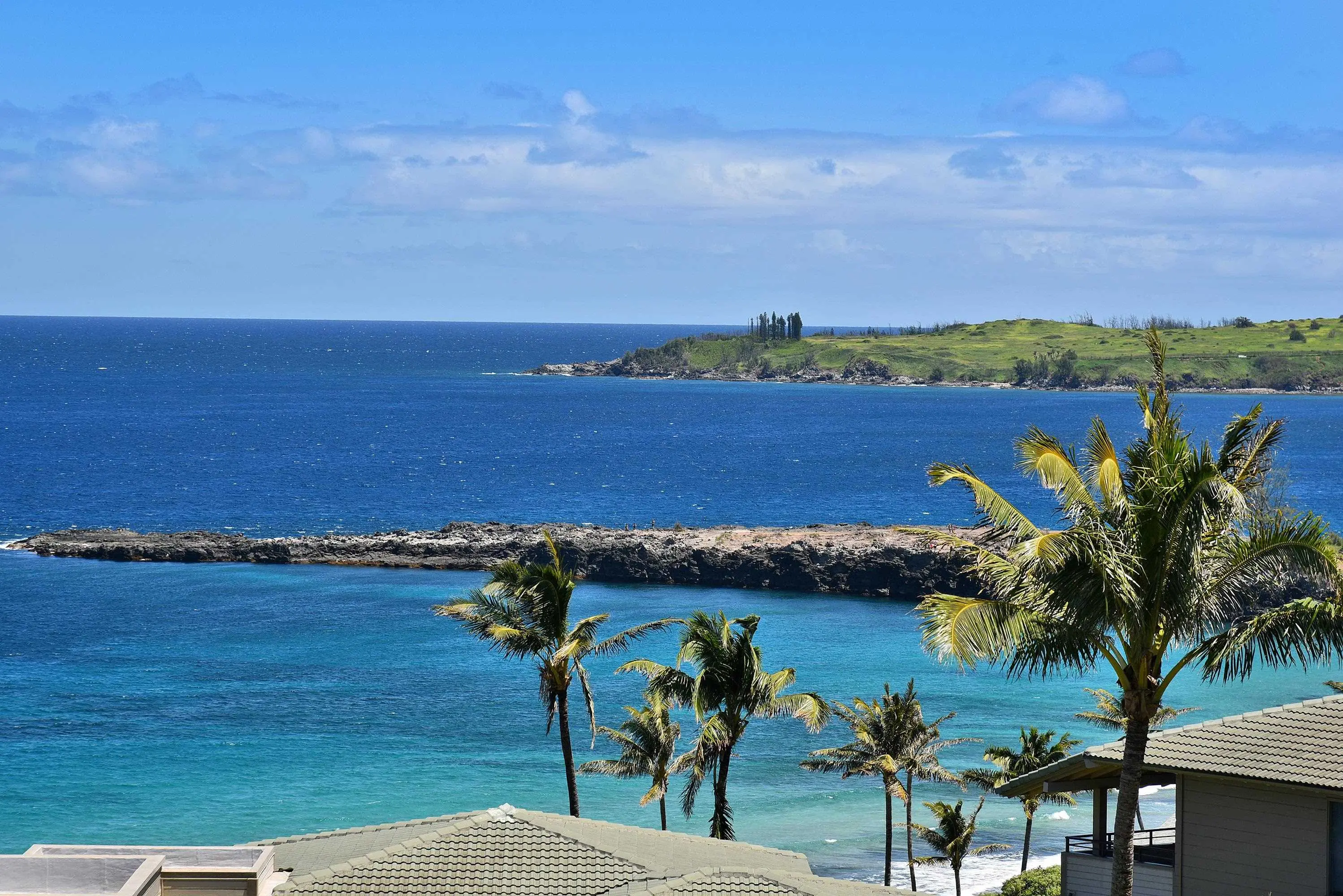 Photo of Listing #409287