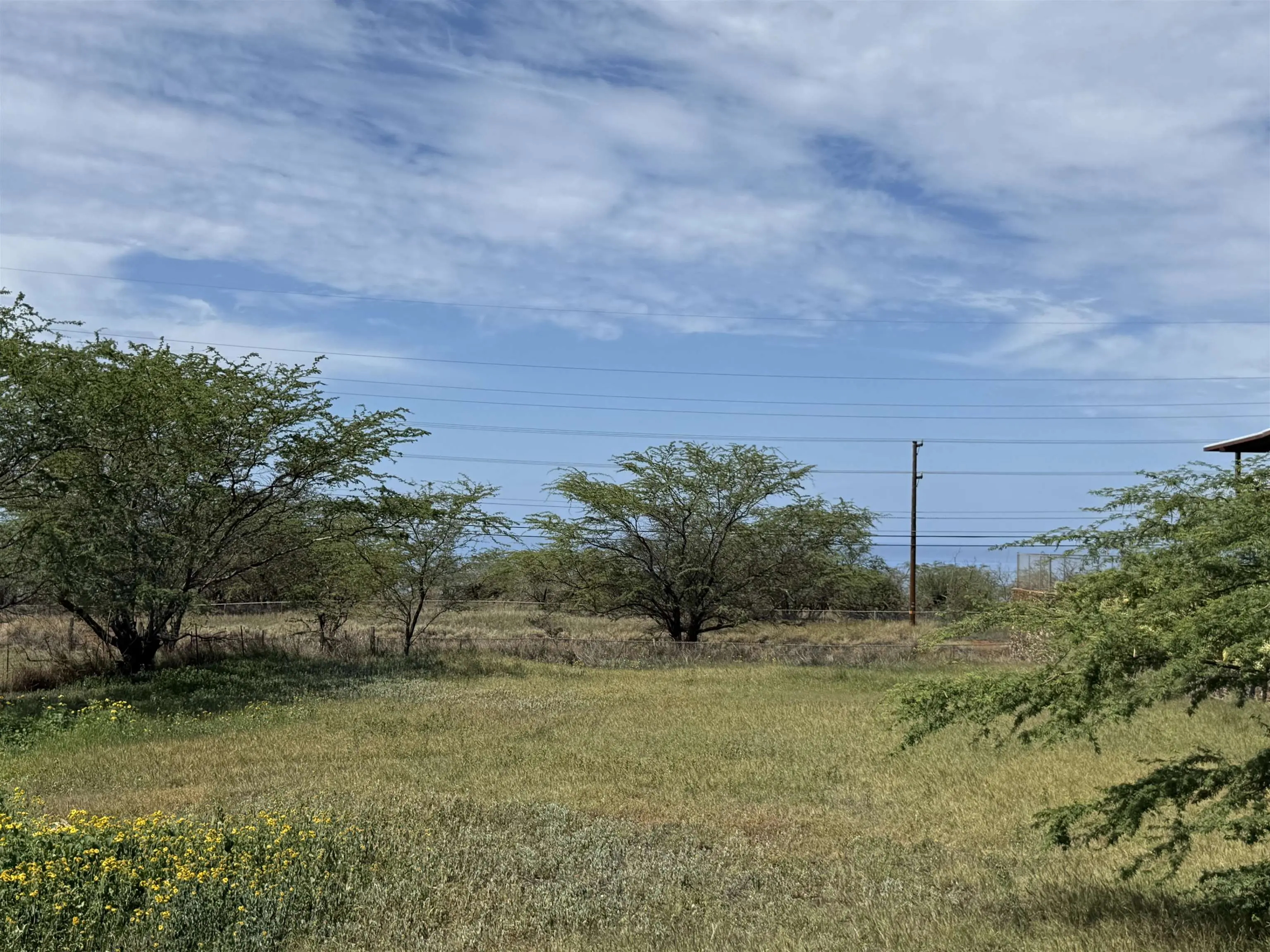 Photo of Listing #407947