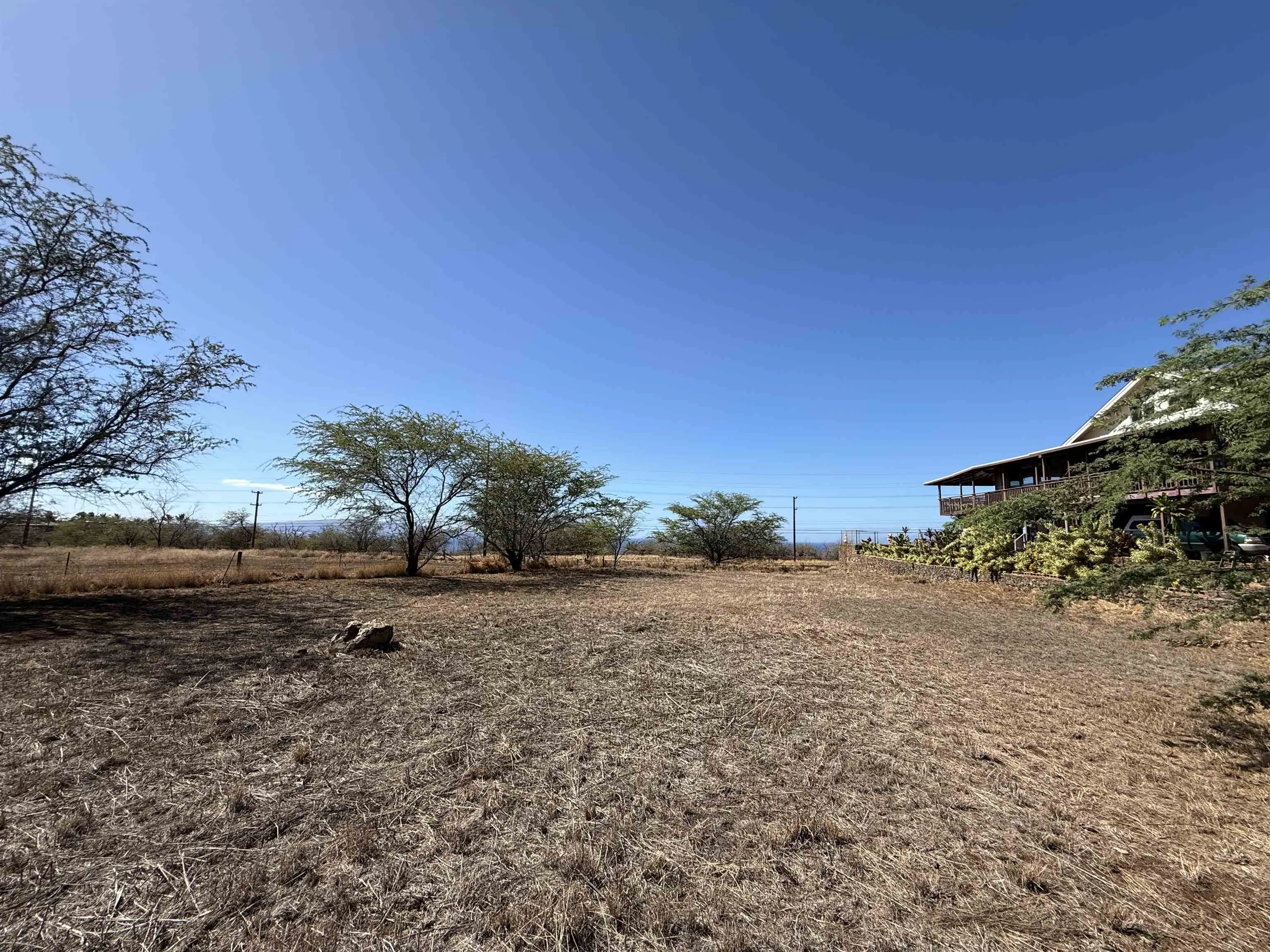 Photo of Listing #407947