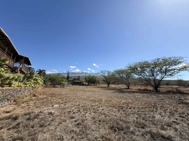 Listing Image for 3546 Akala Dr 6 of 9