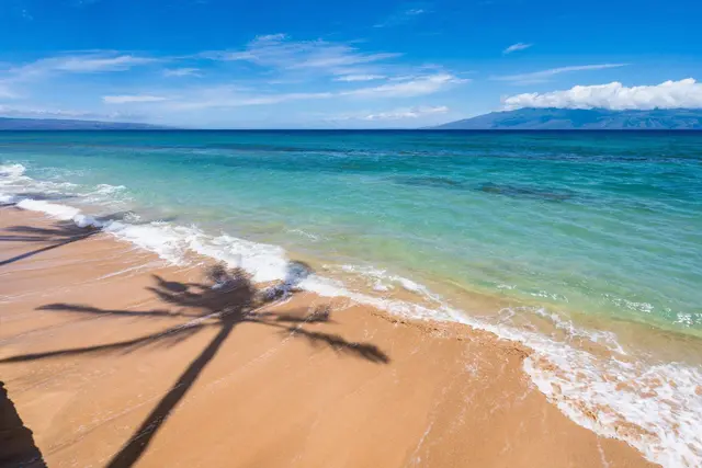Listing Image for 3543 Lower Honoapiilani Rd K103 33 of 35