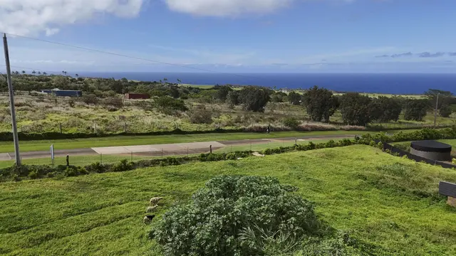 Listing Image for 111 Mehana Rd Unit A 4 of 50