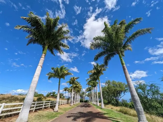 Listing Image for 80 Opalipali Pl 2 of 15