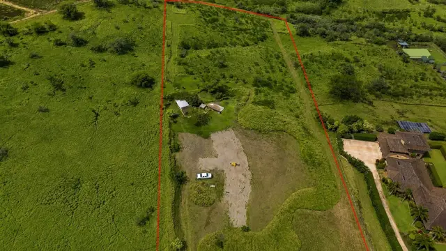 Listing Image for 80 Opalipali Pl 5 of 15