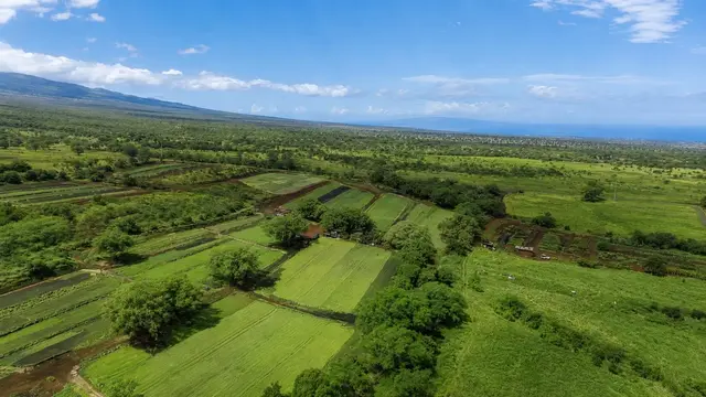 Listing Image for 80 Opalipali Pl 8 of 15