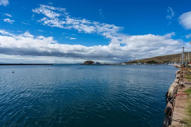Listing Image for 20 Hauoli St 312 21 of 22