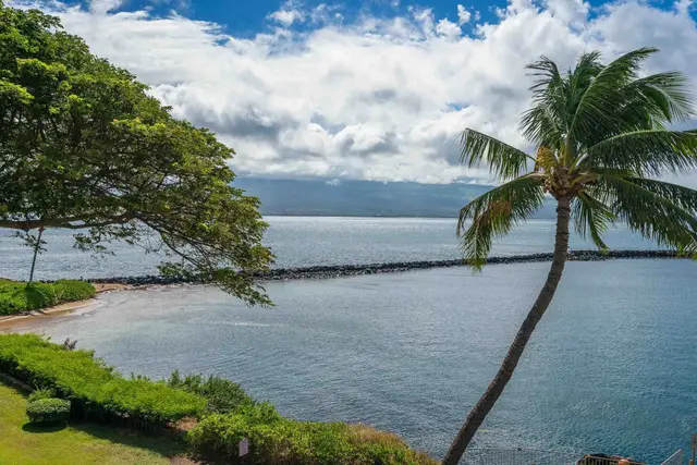 Listing Image for 20 Hauoli St 312 5 of 22