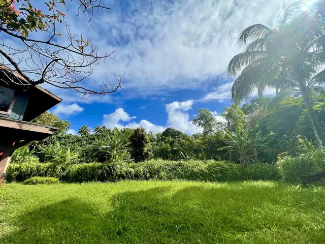 Listing Image for 440 Huelo Rd 15 of 28