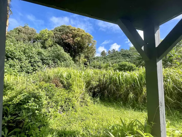 Listing Image for 440 Huelo Rd 16 of 28