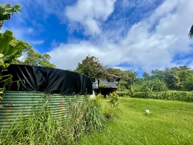 Listing Image for 440 Huelo Rd 18 of 28