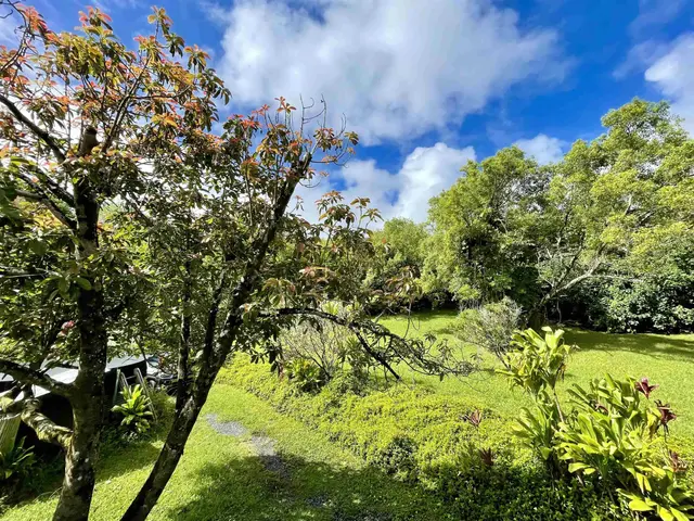 Listing Image for 440 Huelo Rd 19 of 28