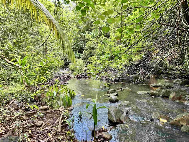 Listing Image for 440 Huelo Rd 21 of 28